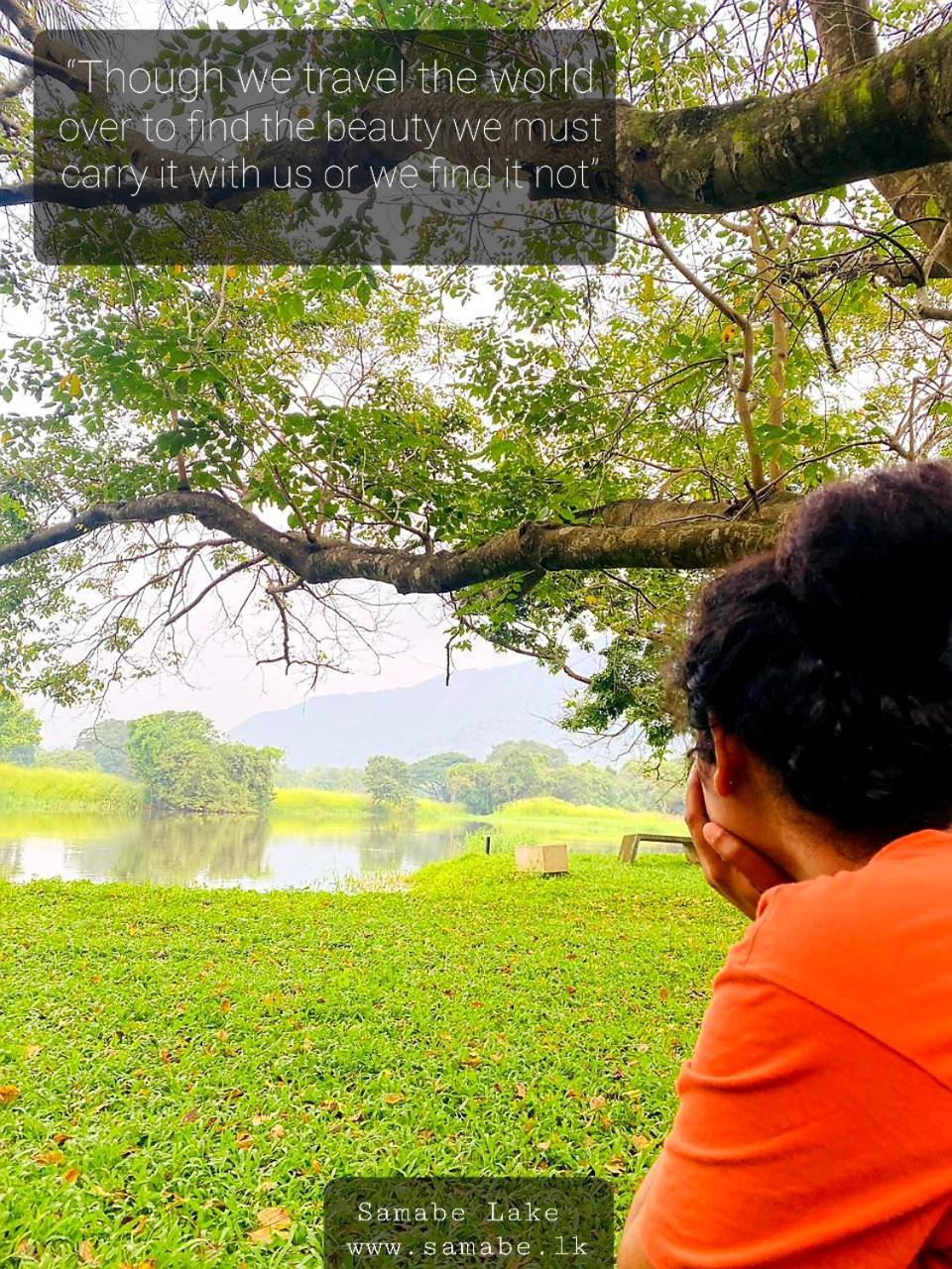 Samabe Lake Dambulla Εξωτερικό φωτογραφία