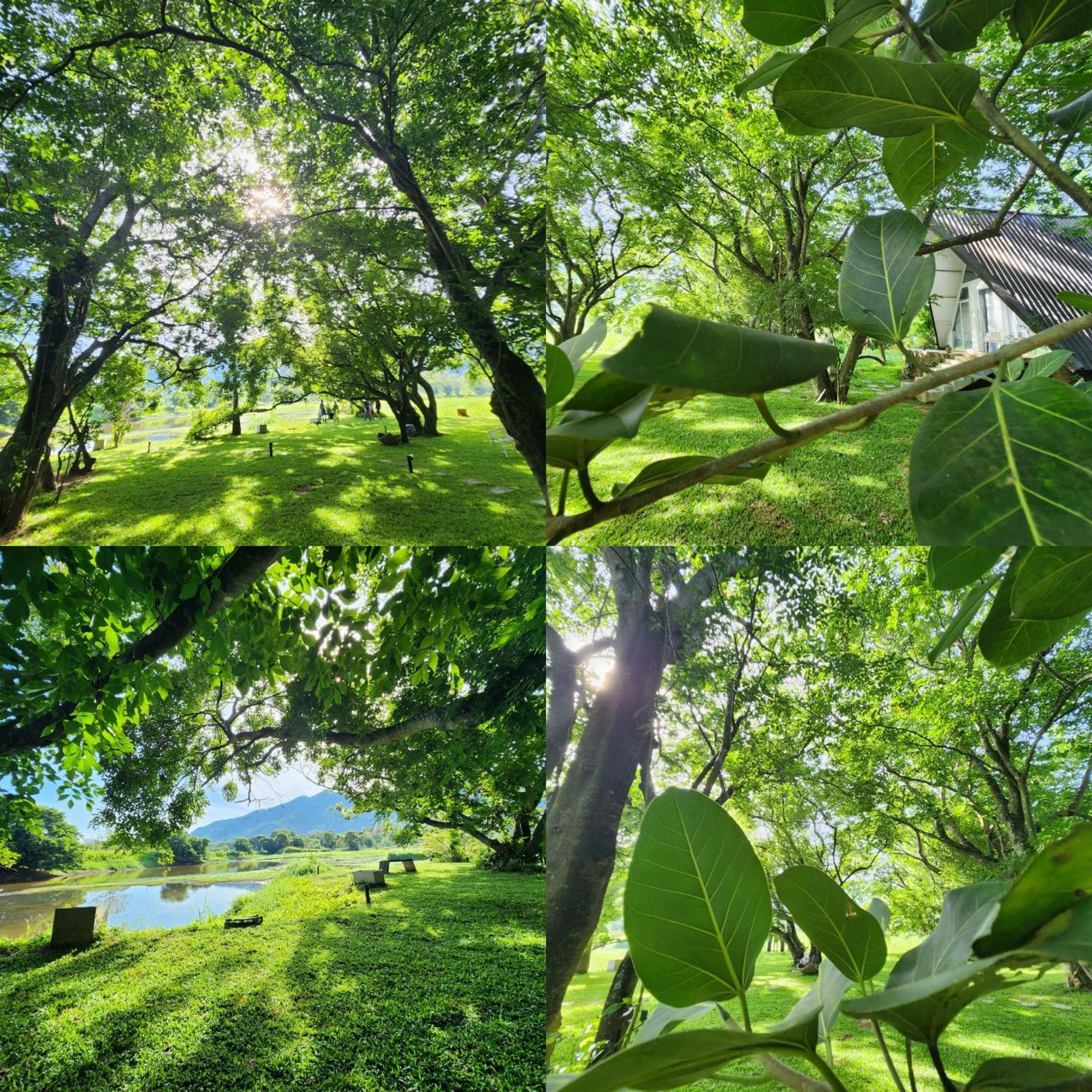 Samabe Lake Dambulla Εξωτερικό φωτογραφία